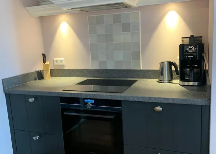 Vernieuwd Luxe Voorhuis - Naast De Molens 度假居